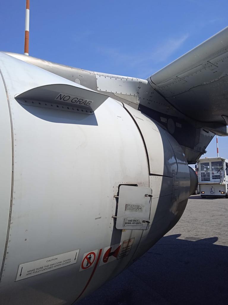 Bird strike velivolo ITA-1765 presso l'Aeroporto di Milano Linate