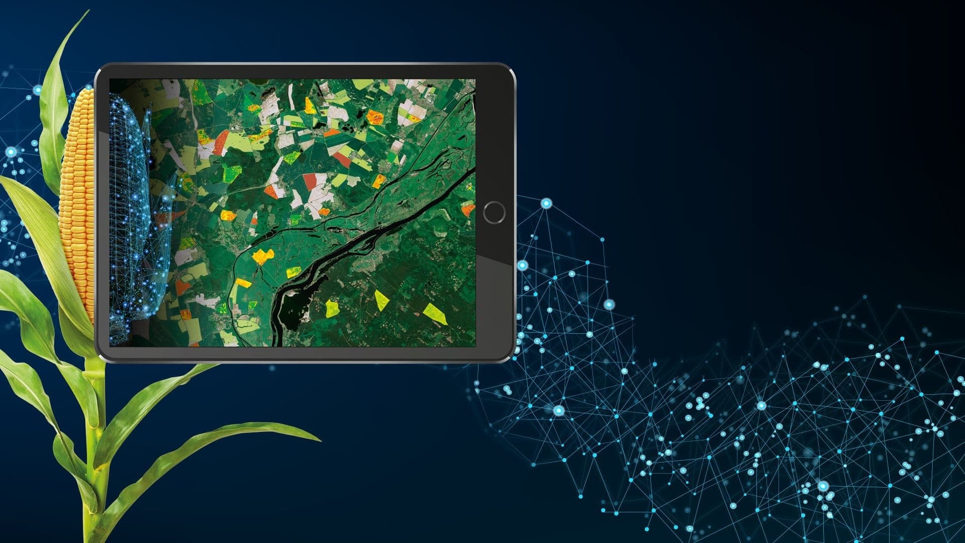 Airbus: solution to deliver detailed crop analytics already adopted by DataFarming