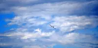 Aliante in volo