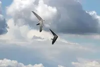 Due deltaplani in volo