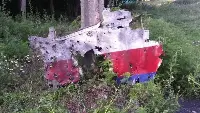 Malaysia Airlines plane's wreckage shot down on July 17th 2014