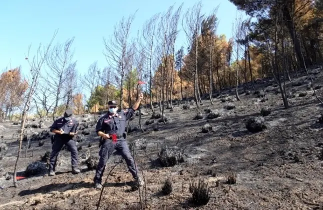 Comando Carabinieri tutela forestale: rilievo per indagini incendi boschivi