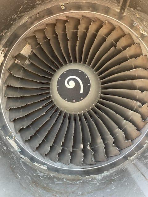 Bird strike velivolo ITA-1765 presso l'Aeroporto di Milano Linate
