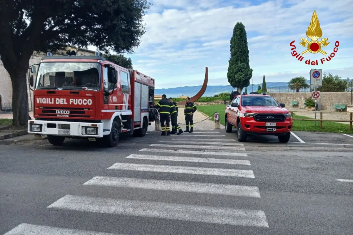 Vigili del Fuoco