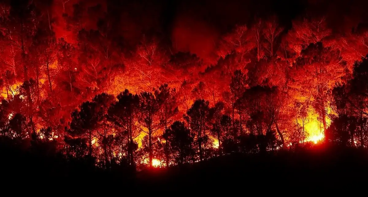 Vasto incendio boschivo