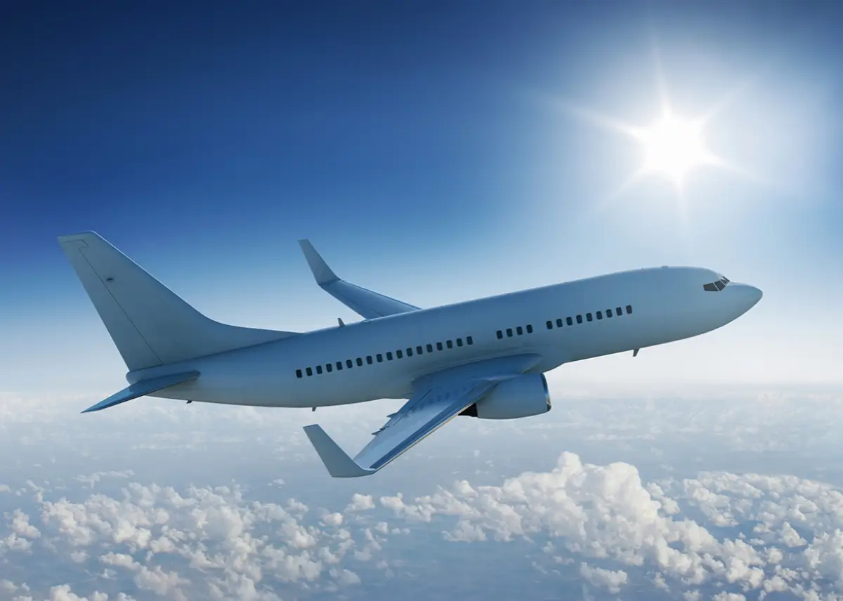Airplane in flight