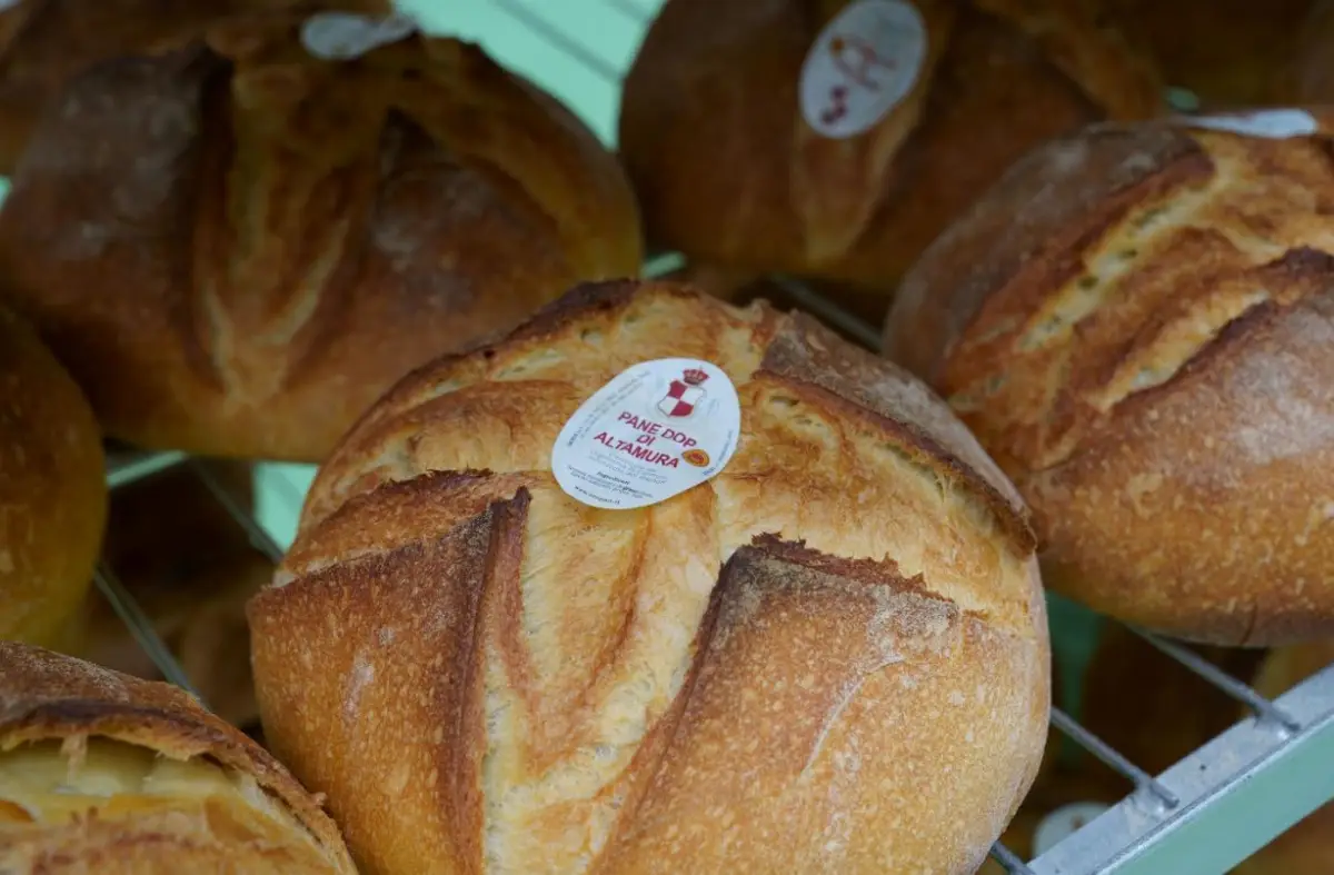 Pane dop di Altamura