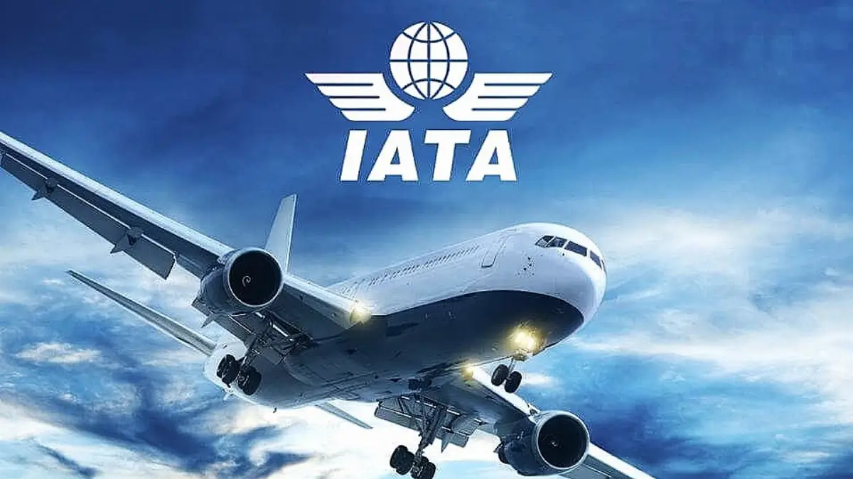 Associazione Internazionale del Trasporto Aereo, Iata