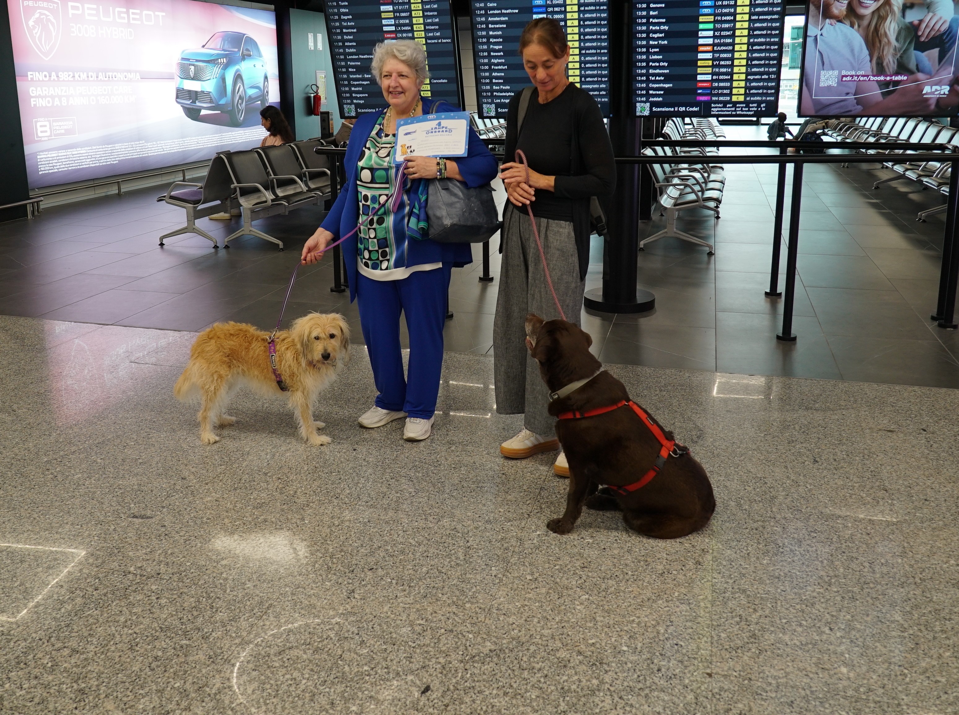 I primi cani di taglia grande che con Ita Airways hanno viaggiato a bordo di un aereo (23 settembre 2025)