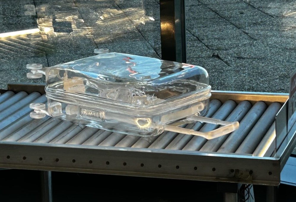 Milano, 10 dicembre 2025. Aeroporto di Malpensa si conferma luogo di incontro tra mobilità globale e cultura ospitando X-Ray-Me, l’installazione site-specific dell’artista italo-iraniana Fariba Ferdosi. La mostra, allestita nell’Area Extra Schengen del Terminal 1, ed inaugurata ieri è fruibile fino al 30 marzo 2026