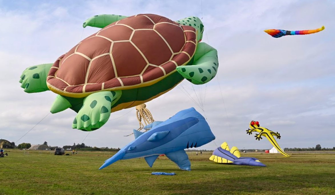 Balloon Cup 2024 in Piacenza: race of balloons with particular shapes