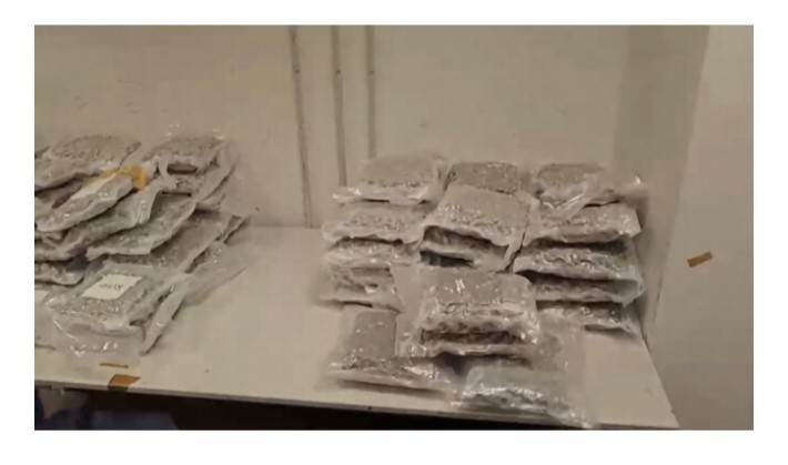 GdF-Adm. Aeroporto di Milano-Malpensa: arrestata passeggera per traffico internazionale di sostanze stupefacenti, trasportava circa 17 chili di marijuana