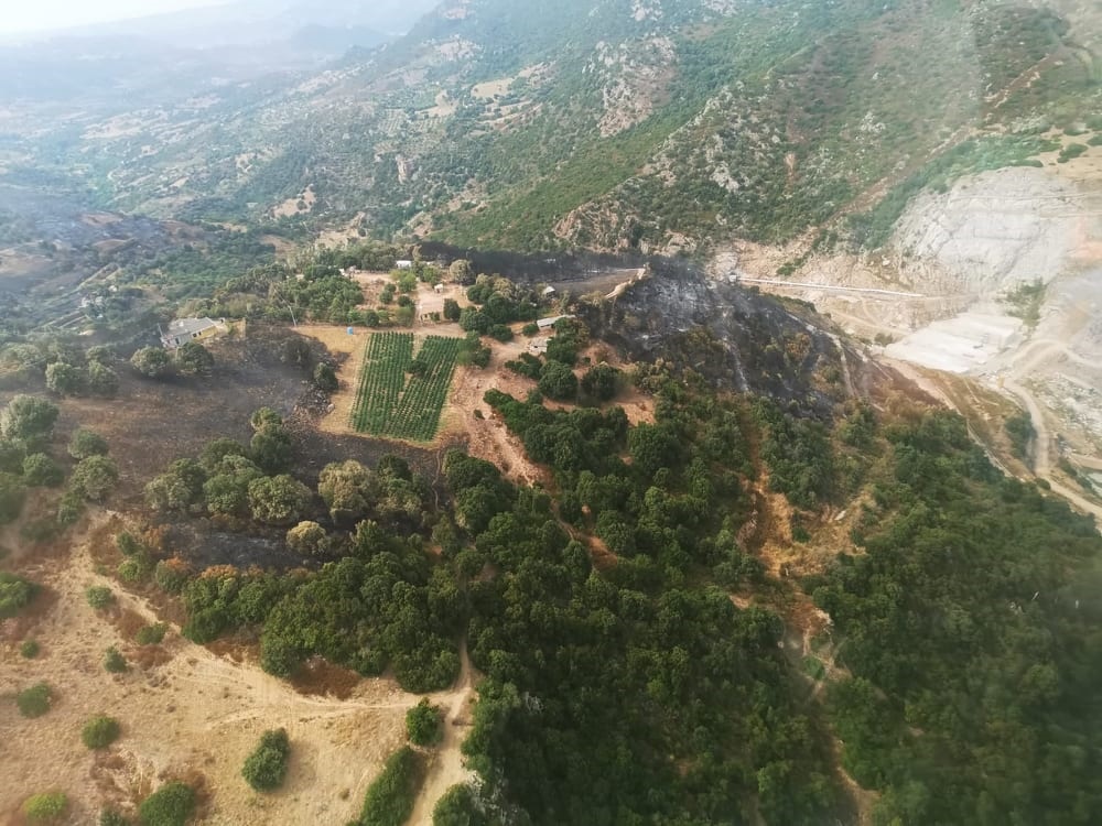 Sardegna: assessore della Difesa dell’ambiente, Gianni Lampis, ha effettuato un sopralluogo nelle aree interessate dagli incendi boschivi il 3 agosto 2020