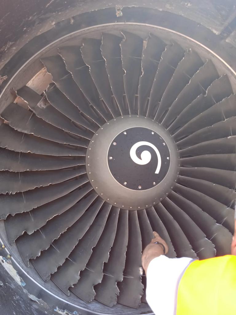 Bird strike velivolo ITA-1765 presso l'Aeroporto di Milano Linate