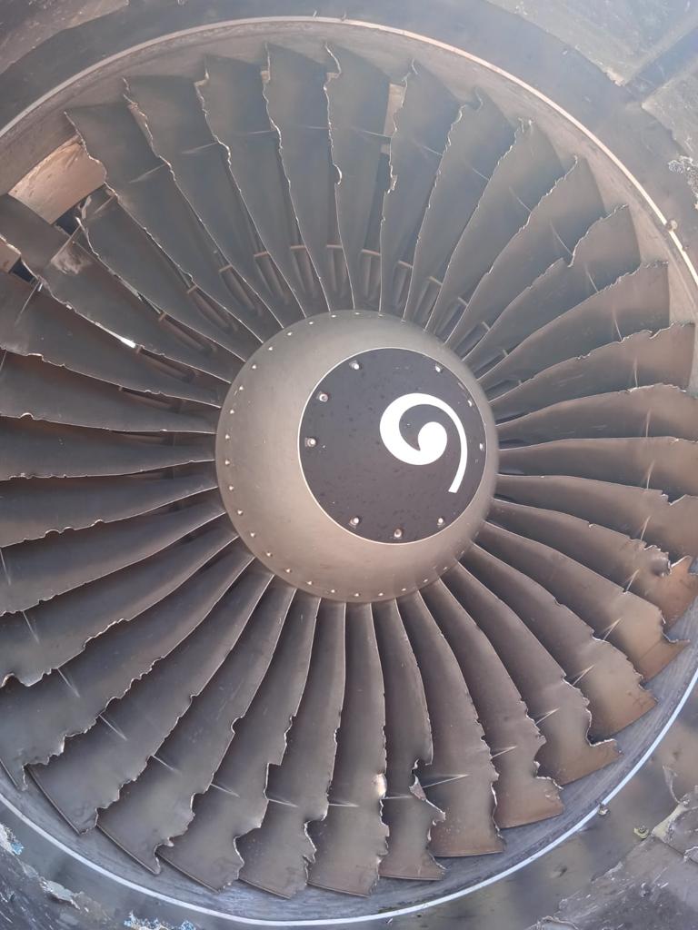Bird strike velivolo ITA-1765 presso l'Aeroporto di Milano Linate