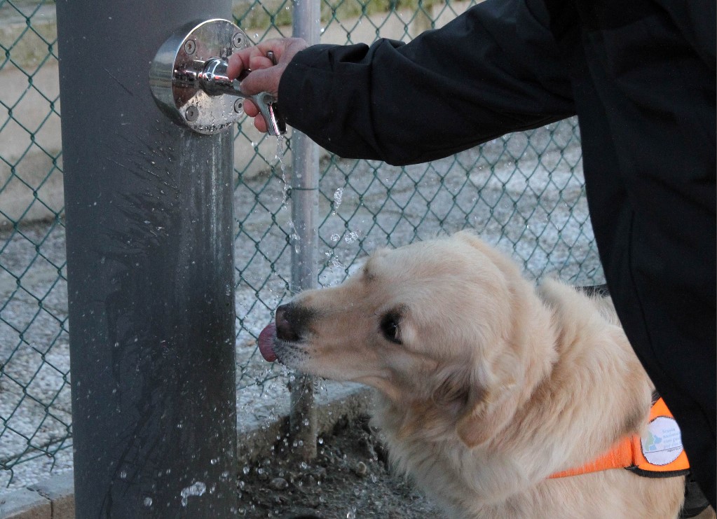 Bologna, 10 dicembre 2025. Fontanella d'acqua per animali, uno dei servizi offerti nella nuova "Area Pet" inaugurata all’aeroporto di Bologna