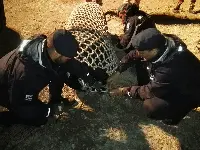 Bomba rimossa a Fano il 14 marzo 2018