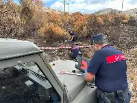 I Carabinieri durante un sopralluogo su una vasta area interessata da un incendio boschivo