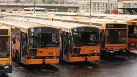 Autobus Tpl (Trasporto pubblico locale)
