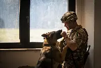 Giornata mondiale del cane e le Forze armate
