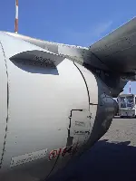 Bird strike velivolo ITA-1765 presso l'Aeroporto di Milano Linate