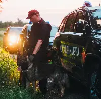 Giornata mondiale del cane e le Forze armate