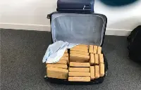 Cocaina sequestrata a Farnborough (Regno Unito) il 29 gennaio 2018