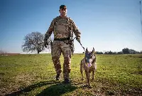 Giornata mondiale del cane e le Forze armate