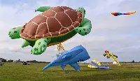 Balloon Cup 2024 a Piacenza: gara di mongolfiere dalle forme particolari