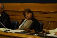 Il componente del consiglio di Art Carla Roncallo
