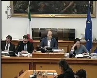 Audizione alla Camera con il ministro dello Sviluppo economico Stefano Patuanelli sul decreto Alitalia (camera.it) 8/1/2020